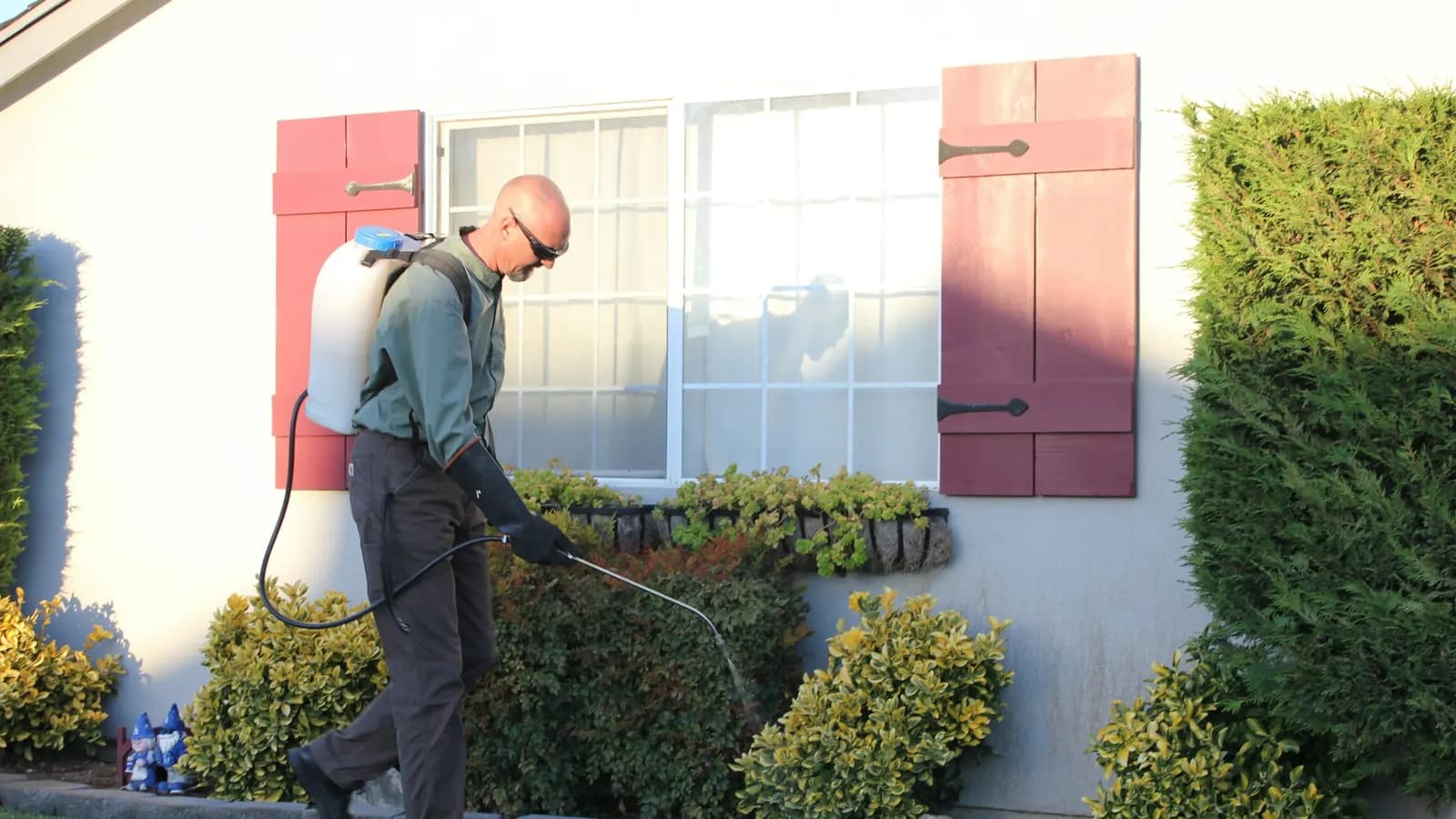 Pest control technician treating around the exterior of a house
